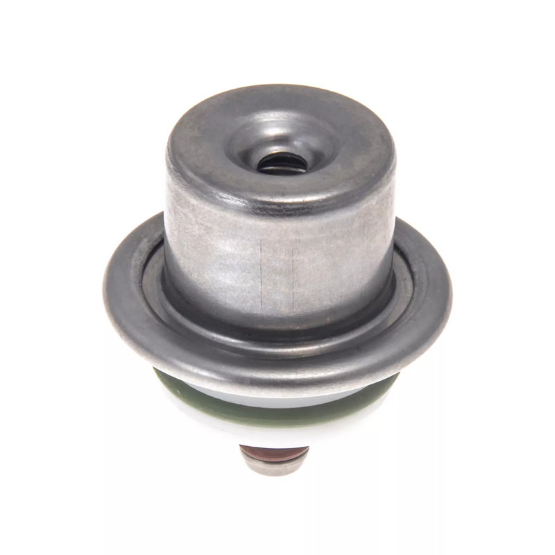 Fuel Pressure Regulator 412202040R